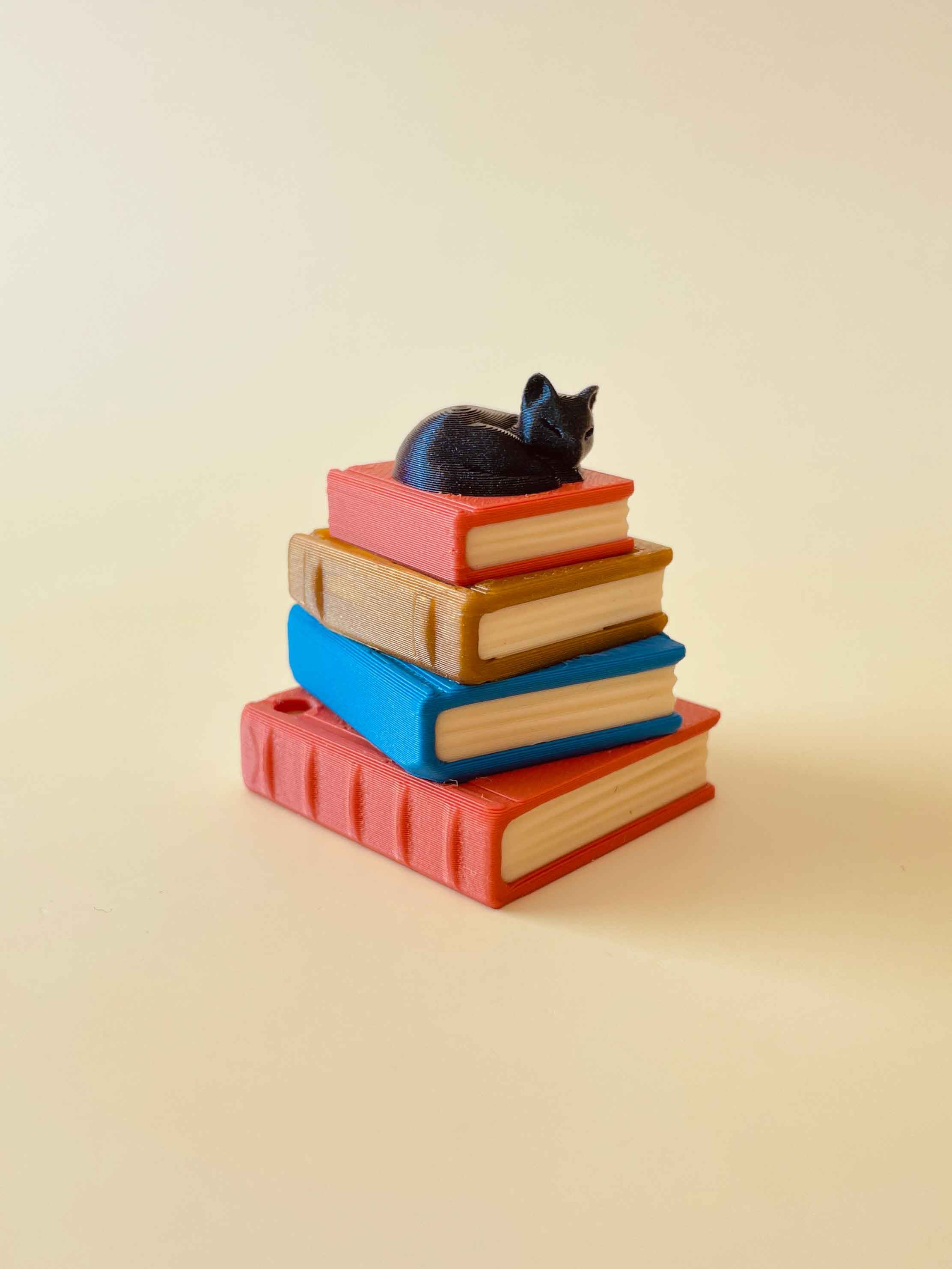 Enchanted Library Bookstack Clicker Keychain Fidget Toy Bundle 3d model