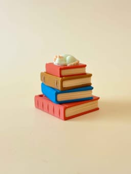 Enchanted Library Bookstack Clicker Keychain Fidget Toy Bundle 3d model