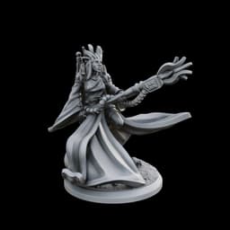 Dark Acolytes Sanctified Salvationer 3d model