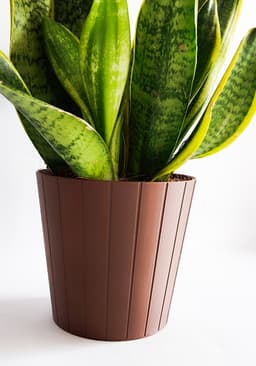 VASE 3d model