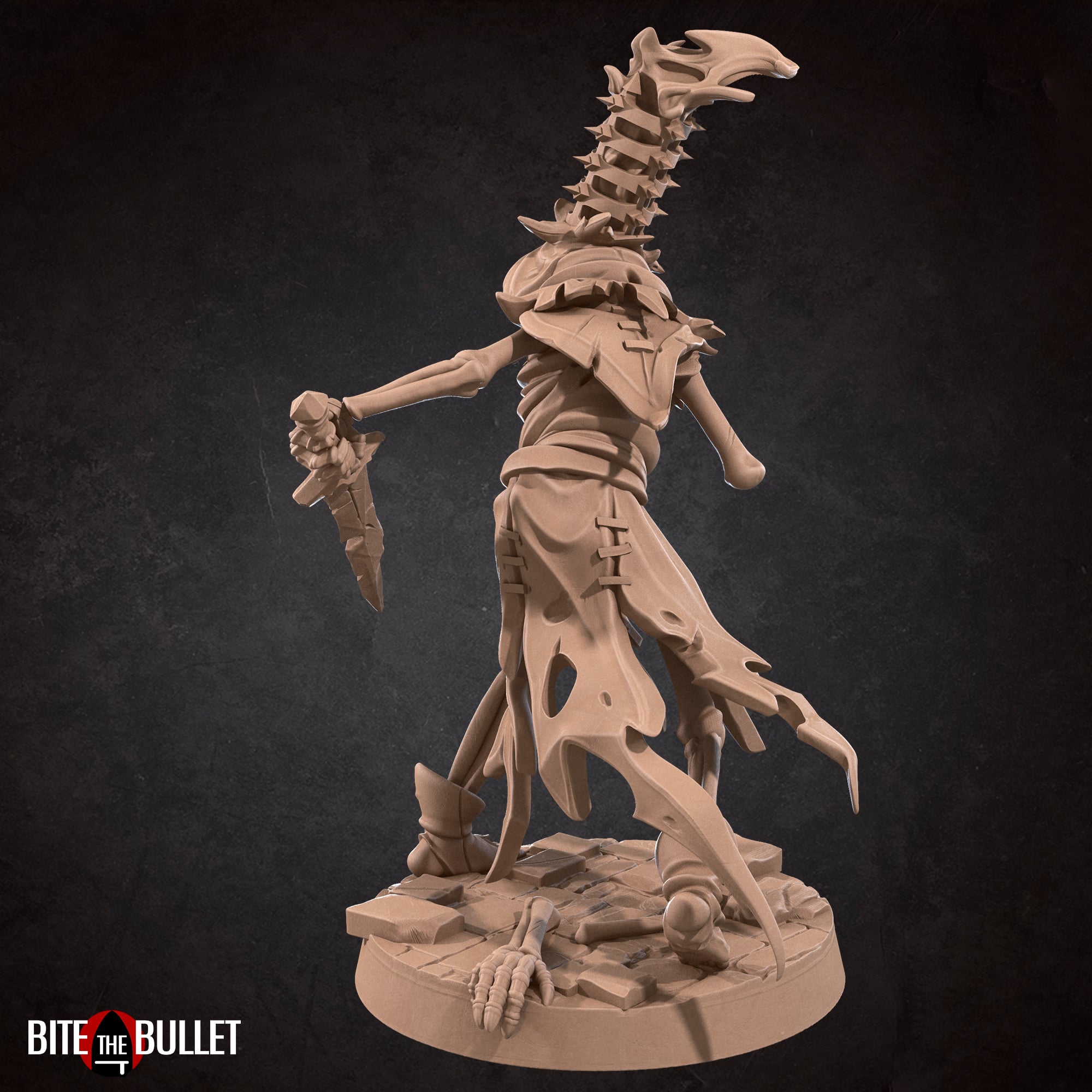 Skeleton Pack 3d model