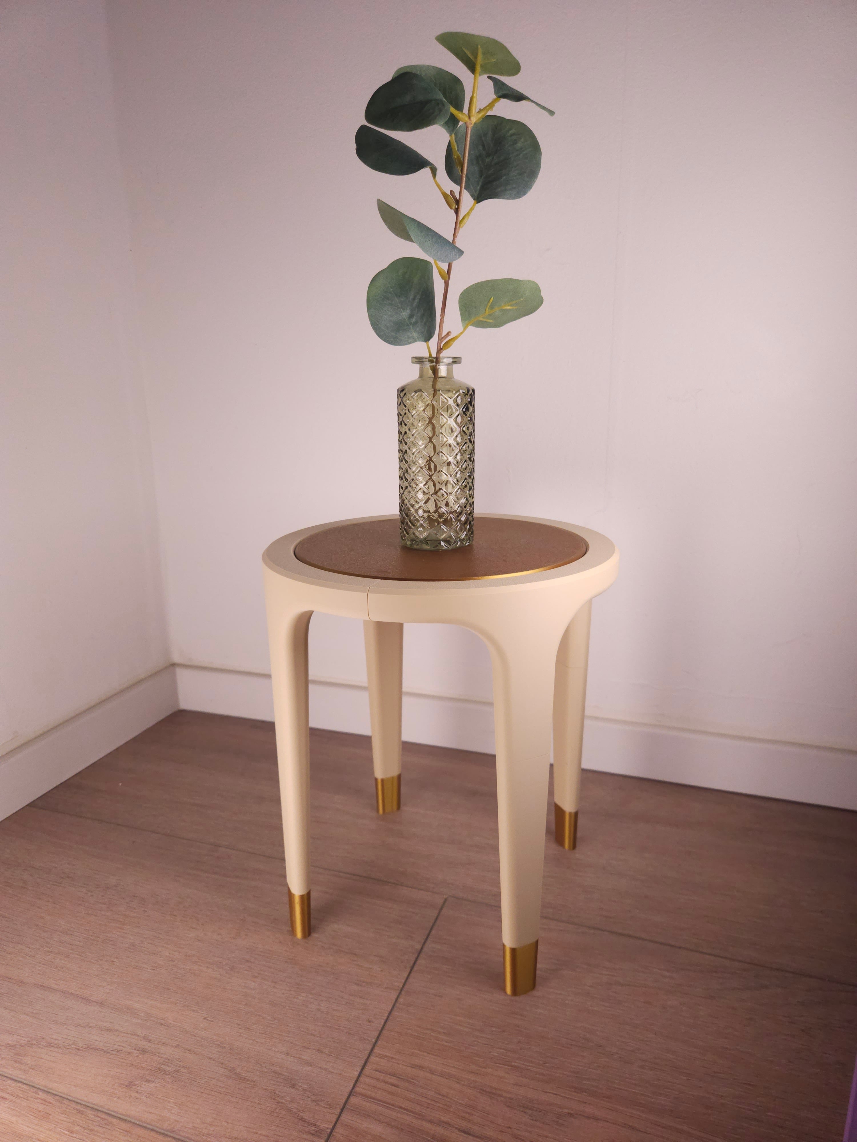 TSX04 - Fully Printed Small Table / Plant Riser 3d model