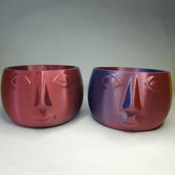 FacePot_PrintStart3D.stl 3d model
