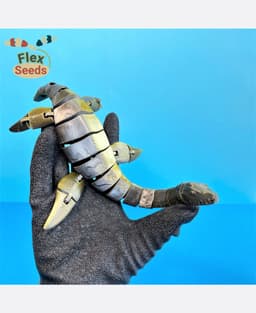 Flexi Plesiosaurus (print-in-placeiosaurus) 3d model