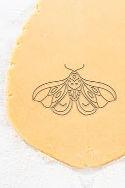 Fly Cookie Cutter, Biscuit Cutter 3d model