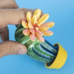Springo Cactus Trichocereus 3d model