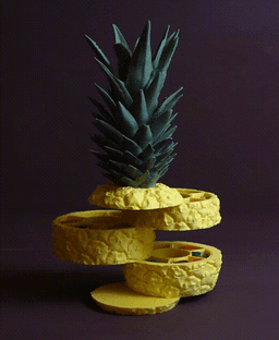 Sliced Pineapple 3d model