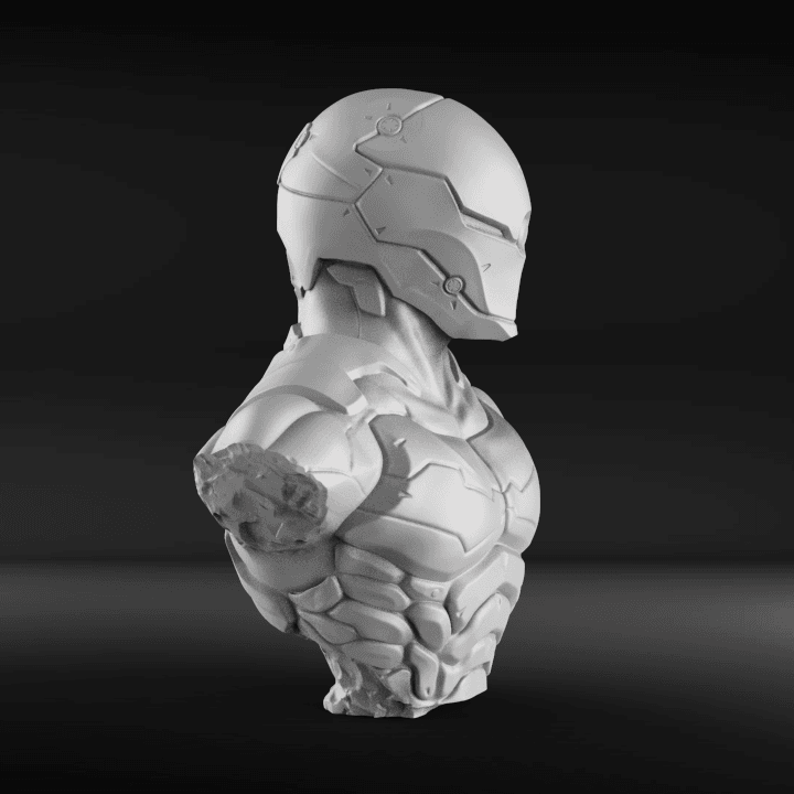 Cyborg Ninja Bust 3d model