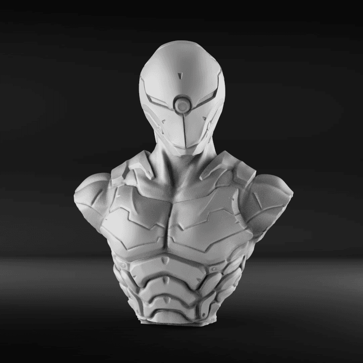 Cyborg Ninja Bust 3d model