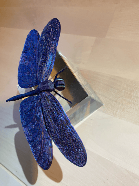 dragonfly puzzle 3d model