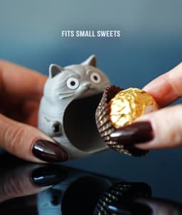 Chonkers Cat 3d model
