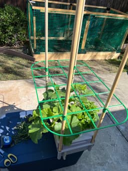 Lattice for hydro grow box. 3d model