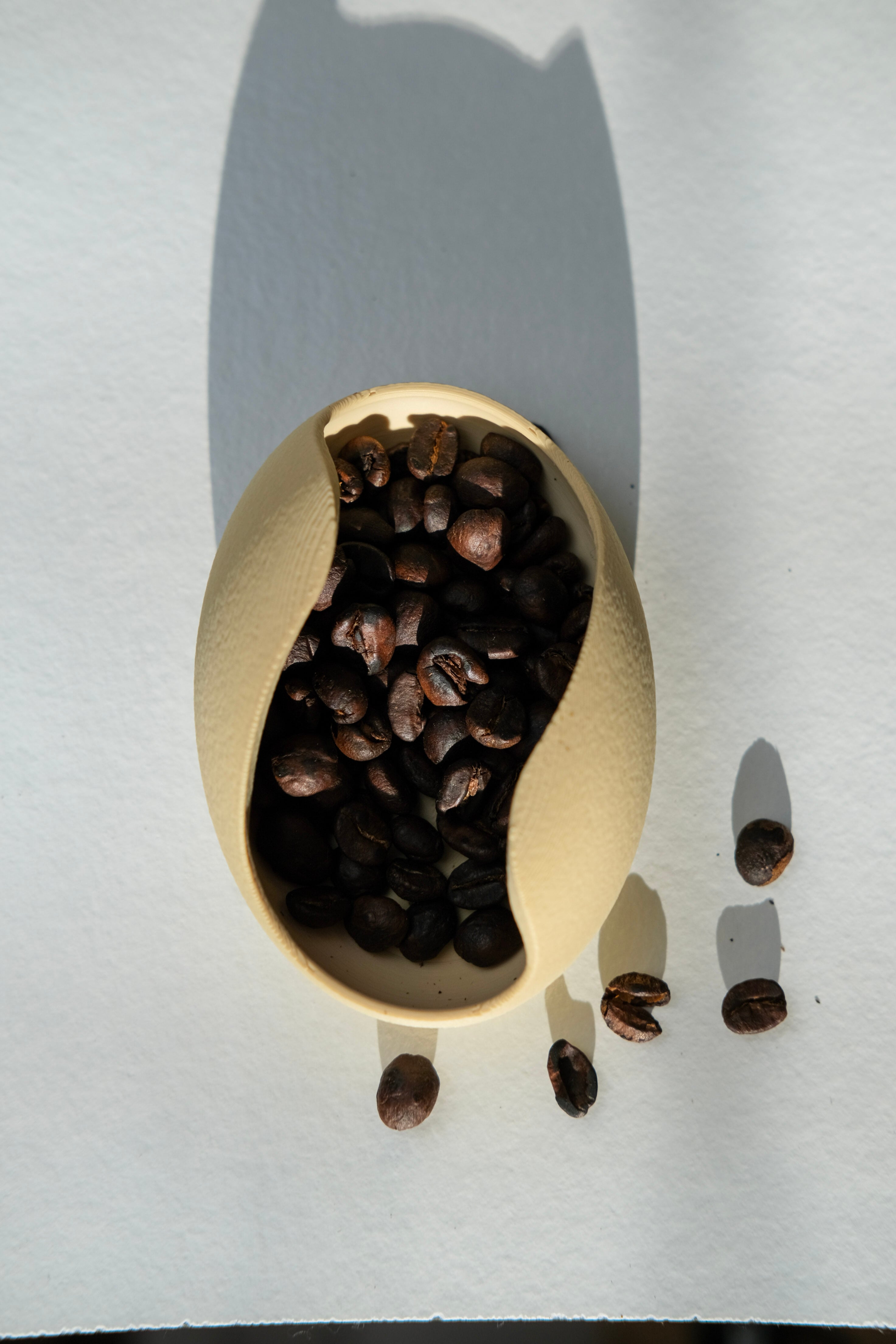 Coffee Dosing Tray 3d model