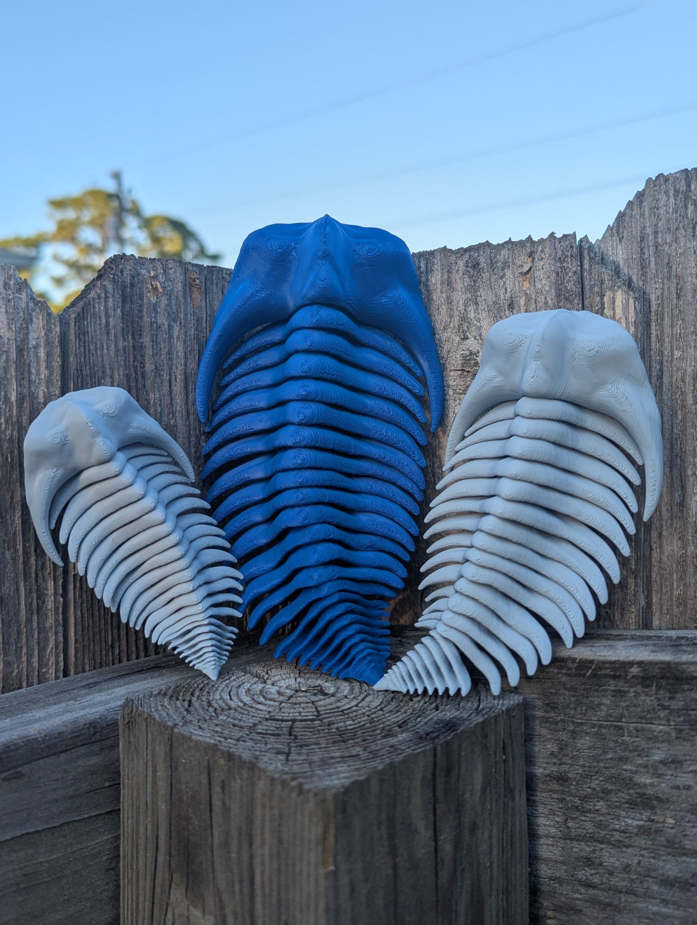 Articulated Trilobite 3d model