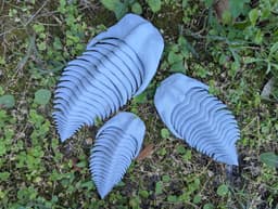 Articulated Trilobite 3d model