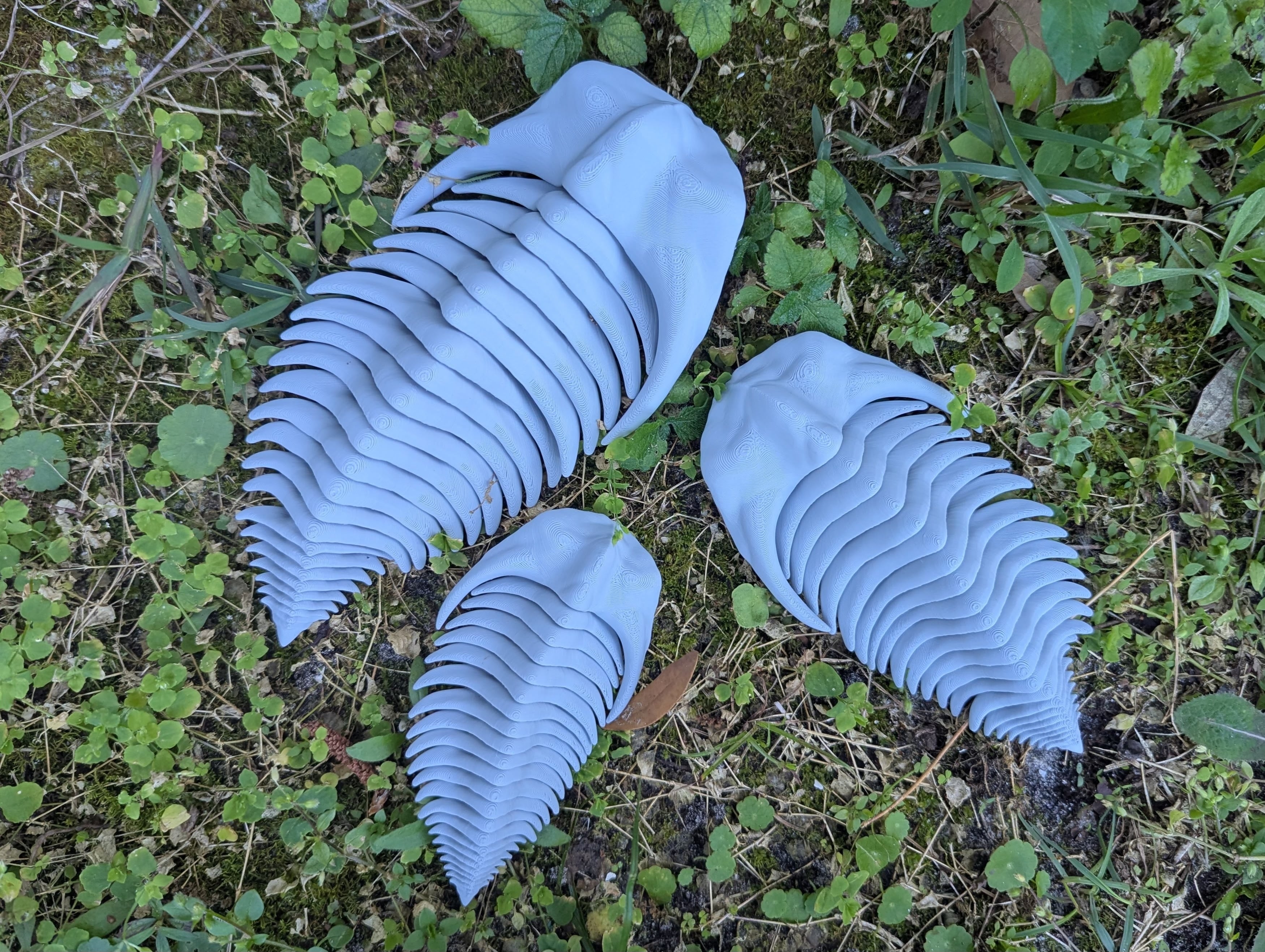 Articulated Trilobite 3d model