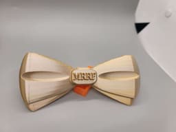 FHW MRRF Bowtie large 3d model