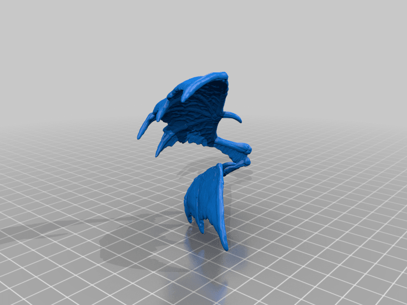 Cthylla 3d model
