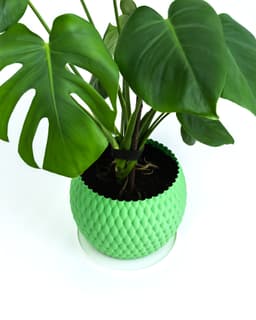 PUFFT Planter 3d model