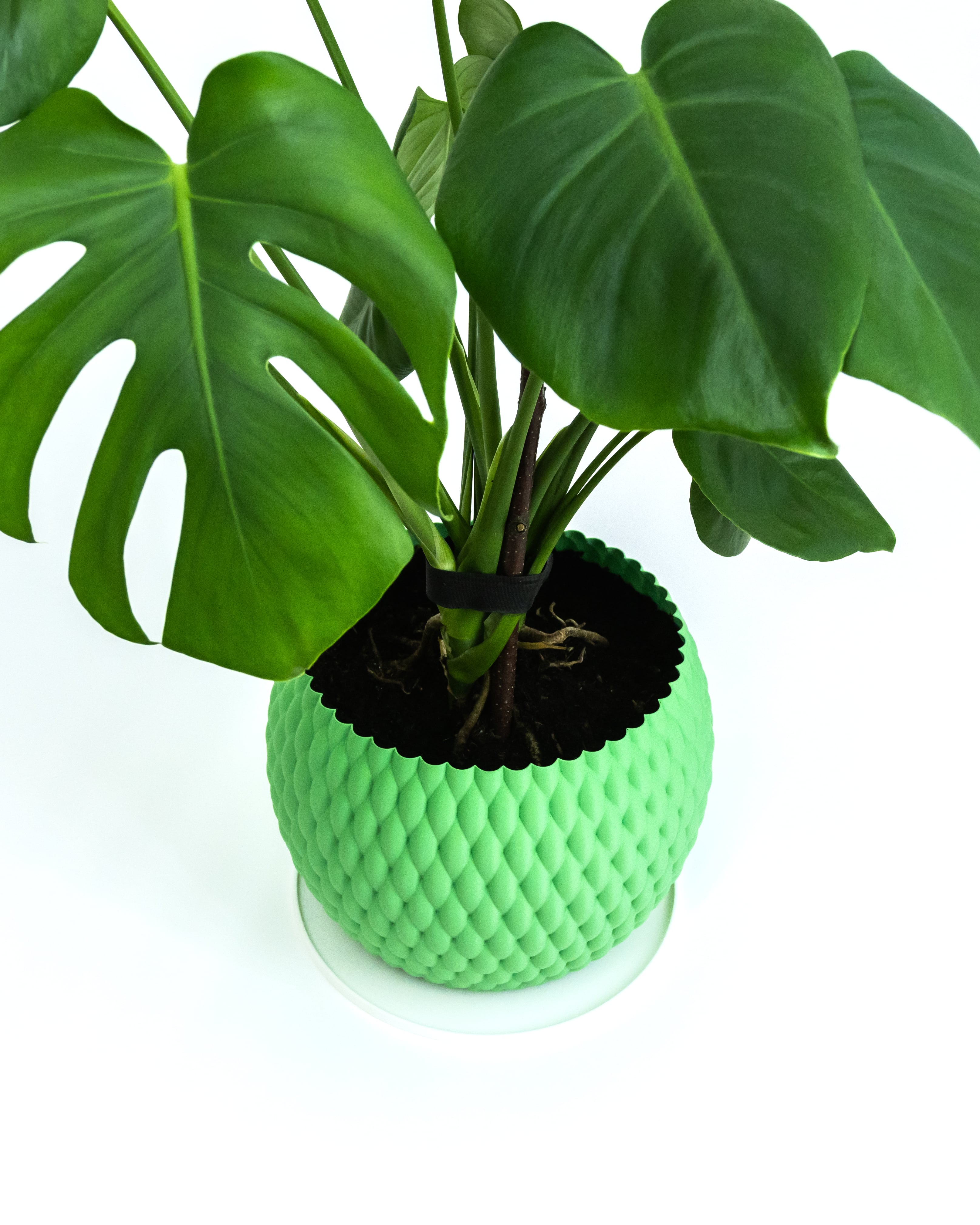 PUFFT Planter 3d model
