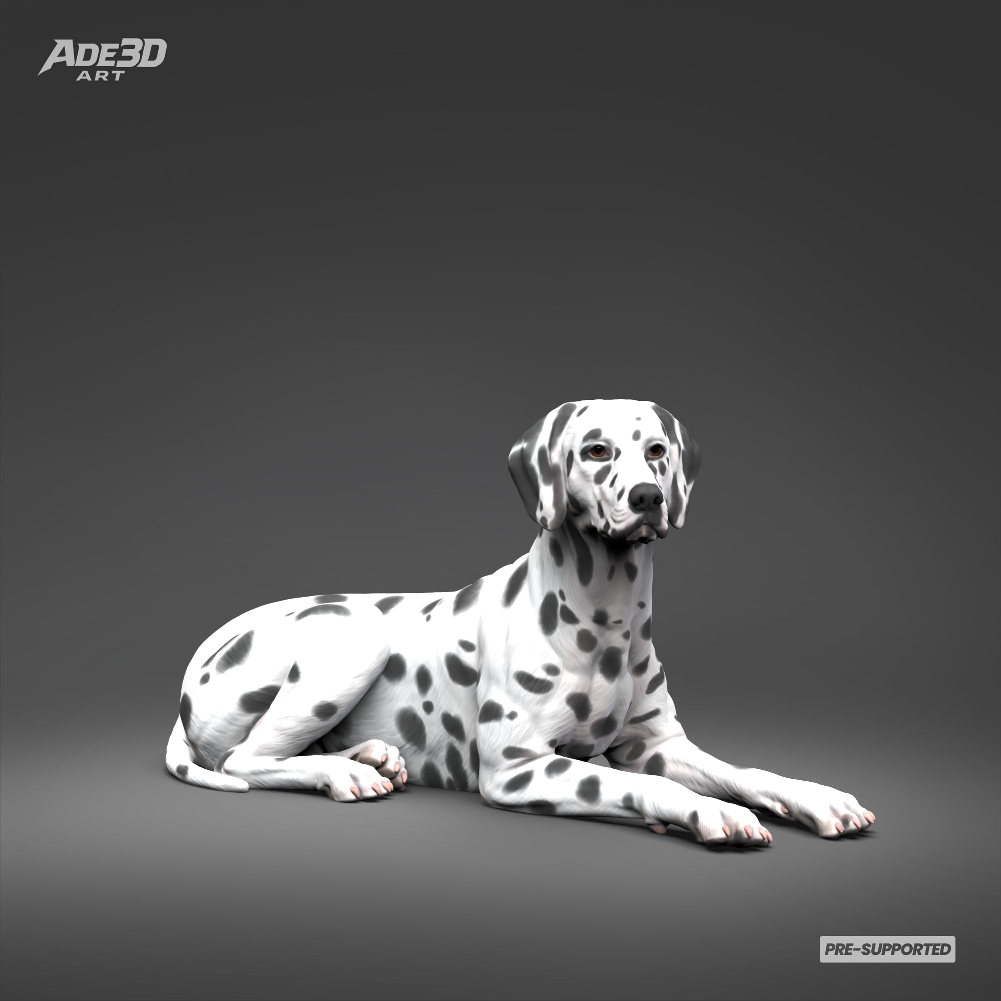 Dalmatian 3D Print Model Pose 07 3d model
