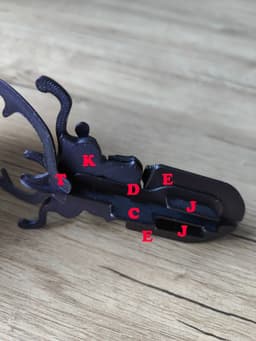 Stag Beetle Buildable Animal Figure 3d model