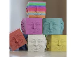 Cube Head Calibration Cube 3d model