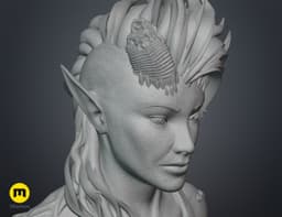 Karlach Bust - Baldur's Gate 3d model