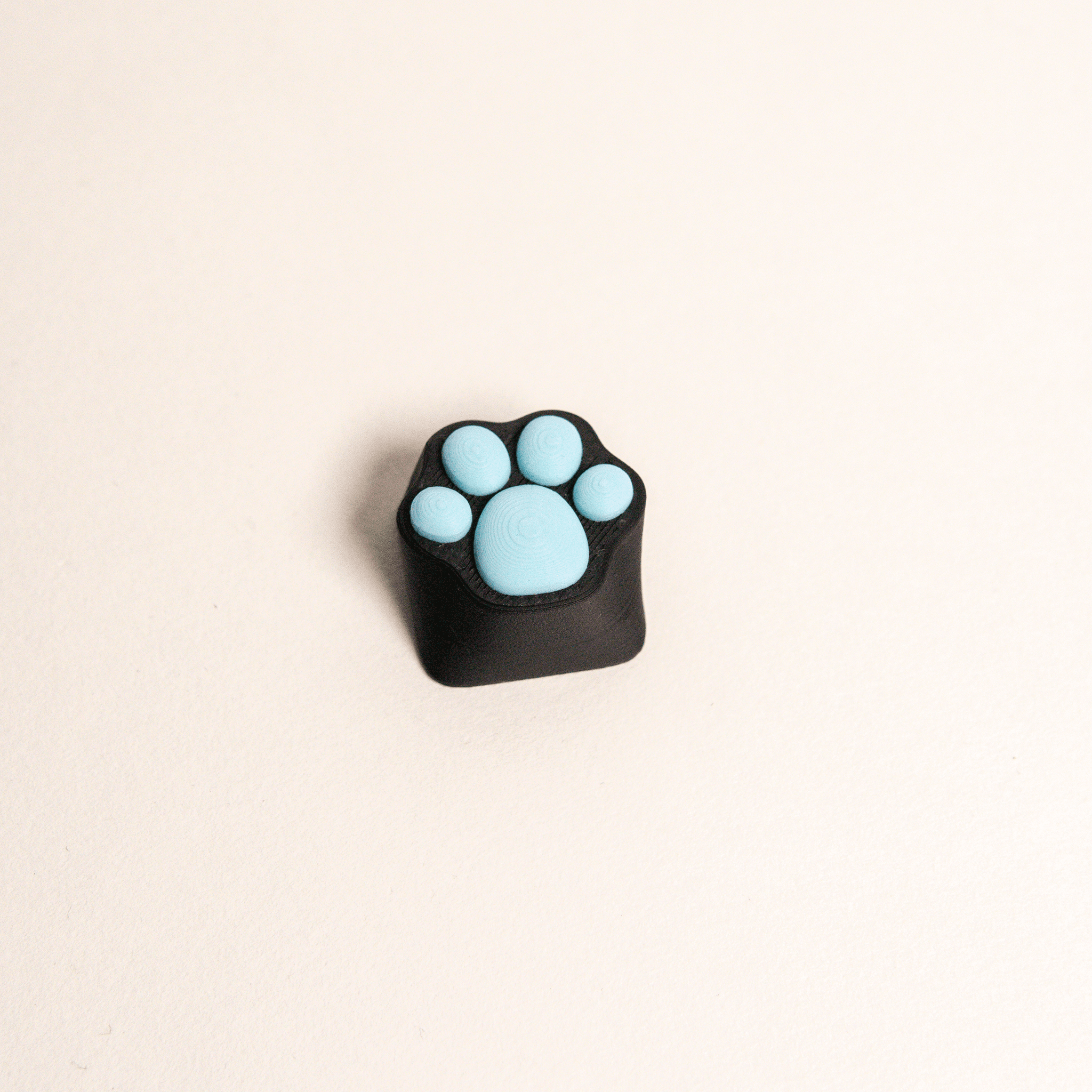 Custom Paw Keycap for Keyboard 3d model