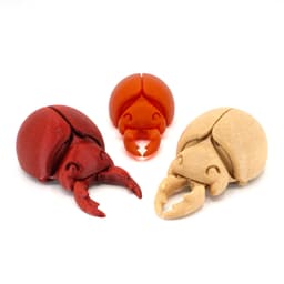 Happy Beetles 3d model