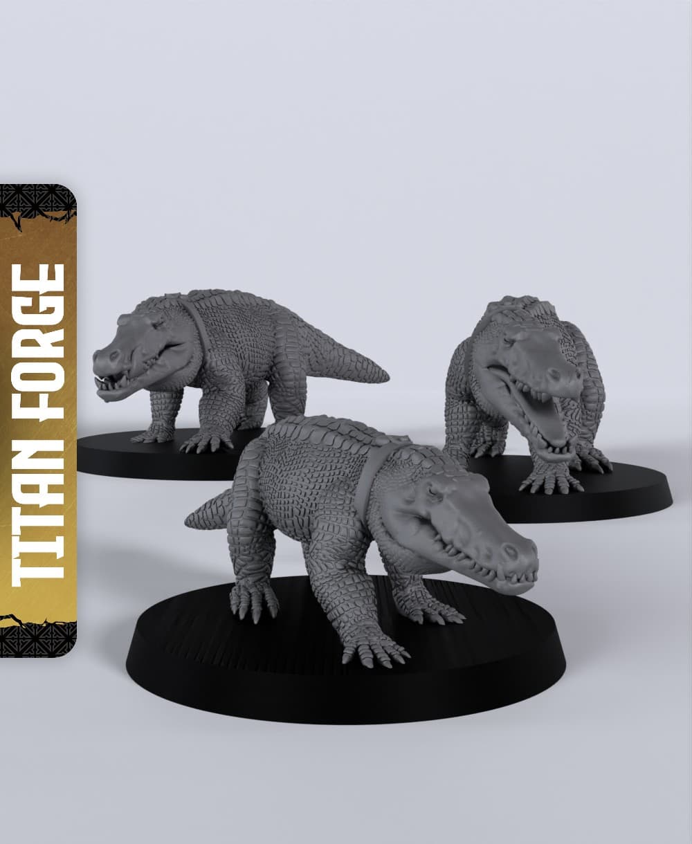 Aligatores - With Free Dragon - 5e DnD Inspired for RPG and Wargamers 3d model