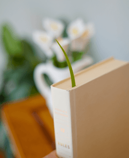 Calla Lily Pens - Flower Pens, Bookmarks, and Pitcher Vase 3d model