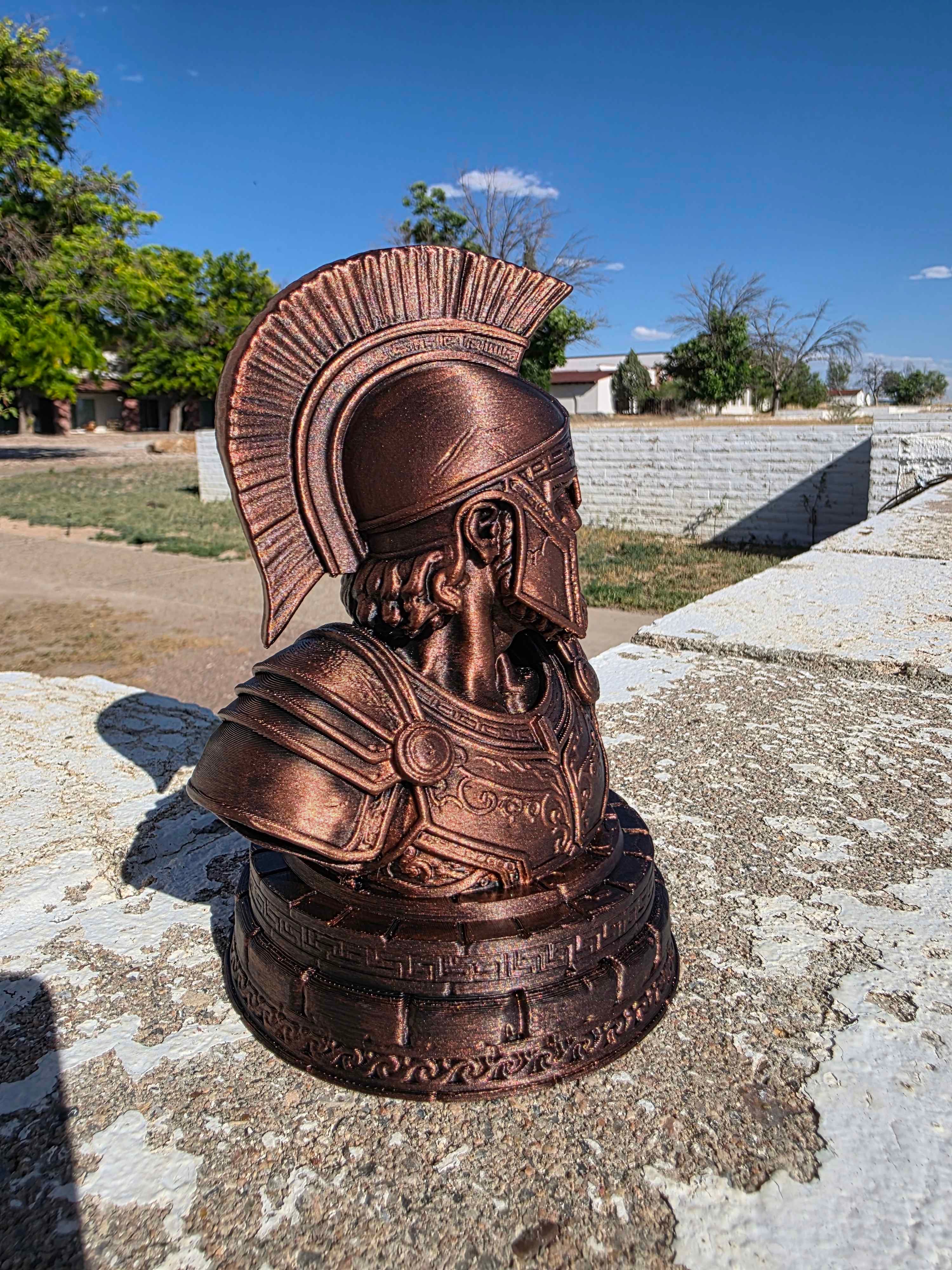 Spartan Bust 3d model