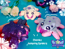 Chonky Jumping Spider 3d model