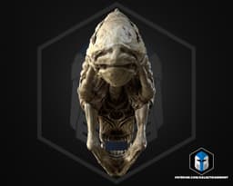 Xenomorph Skull - 3D Print Files 3d model