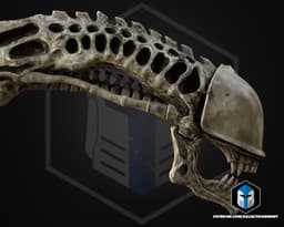 Xenomorph Skull - 3D Print Files 3d model