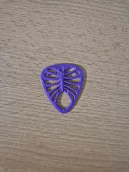 Ribcage Guitar Pick 3d model