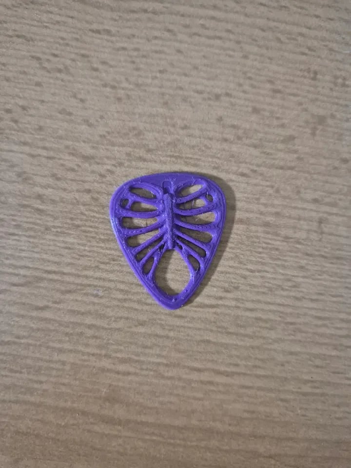 Ribcage Guitar Pick 3d model