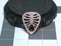 Ribcage Guitar Pick 3d model