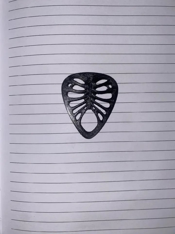 Ribcage Guitar Pick 3d model