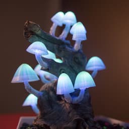 Mushroom Caps for Glowing Mushroom Light 3d model
