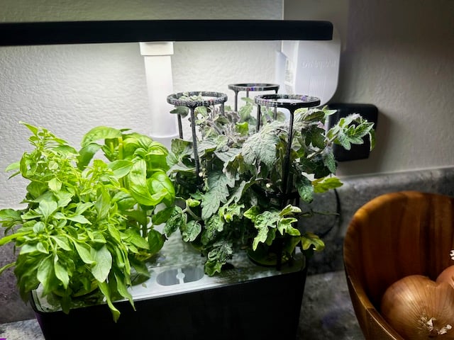 Aerogarden Single Trellis 3d model