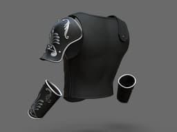 Maximus Gladiator Armor Set 3d model