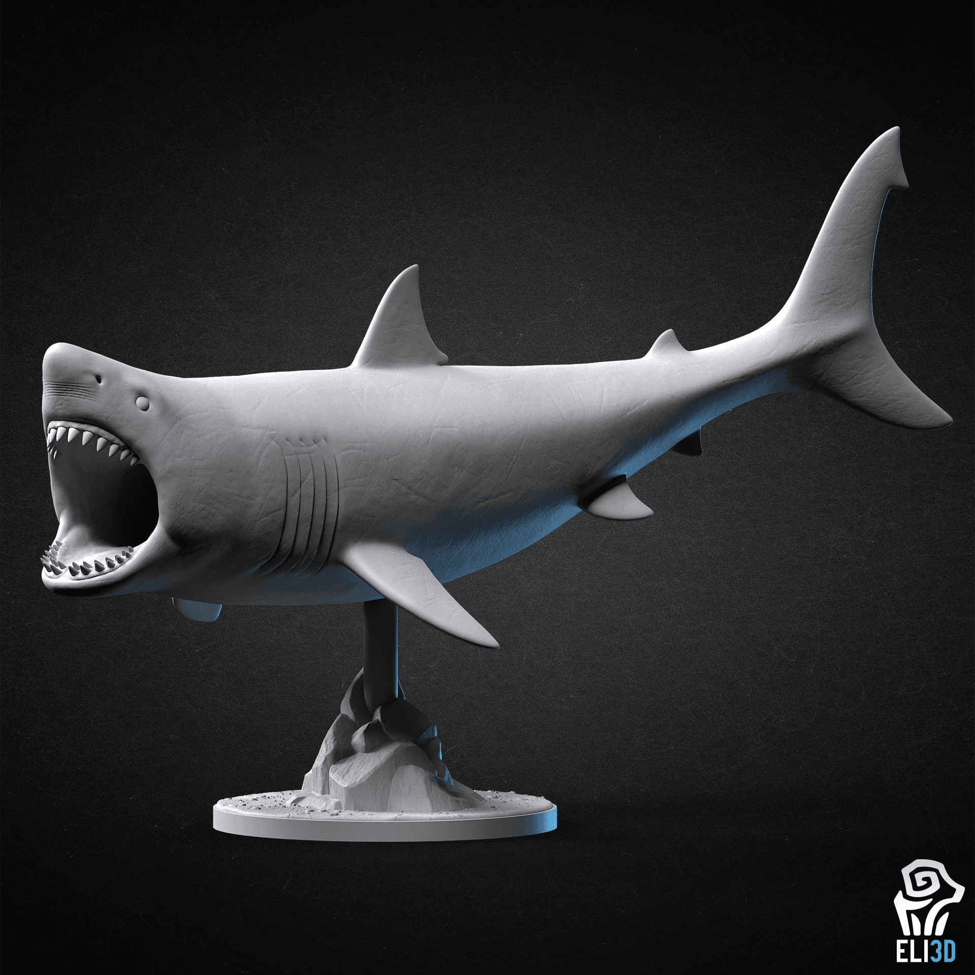 Animals - Ocean Wildlife 3d model