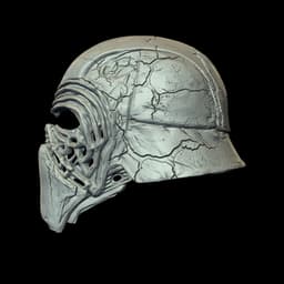 Kylo Ren Skull 3d model