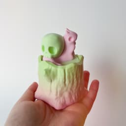 Woody Container and Skull Snail 3d model
