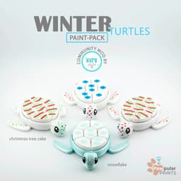 Winter Turtle Paint Pack 3d model