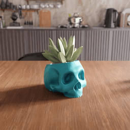 Anatomical Skull Planter 3d model