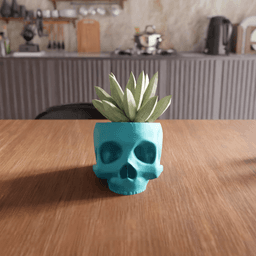 Anatomical Skull Planter 3d model