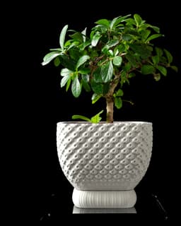 Connect Planter Pot by MODERN MACHINE 3d model